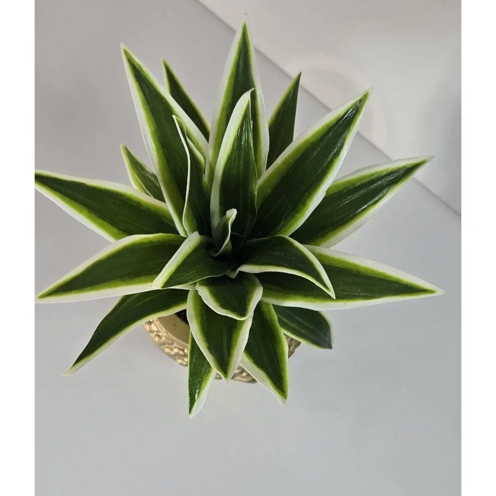 Handmade Faux Snake Plant in Gold Buddha Head Planter | Artificial Plant Decor